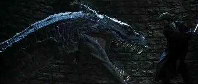 Comment s'appelle le gigantesque serpent de la Chambre des Secrets ?