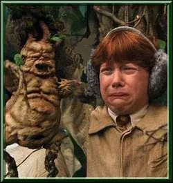 Dans quelle serre les Gryffondor et les Poufsouffle vont-ils s'occuper des Mandragores ?