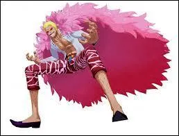 Qui est le frère de Don Quichotte Doflamingo ?