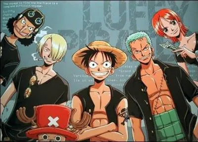 Qui est le premier futur quipier de Luffy que nous voyons dans One Piece?