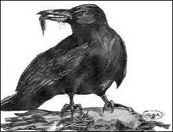 Voilà un oiseau, nous sommes d'accord. Que suggère-t-il ?