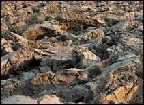 Comment est la terre argileuse ?