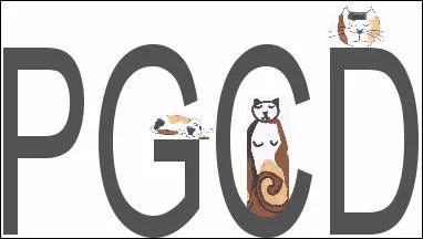 Quelle(s) méthode(s) utilise-t-on pour trouver le PGCD ?