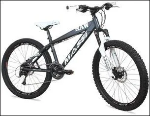 Après augmentation de 12%, un vélo coûte 313, 60 . Quel était son prix ?