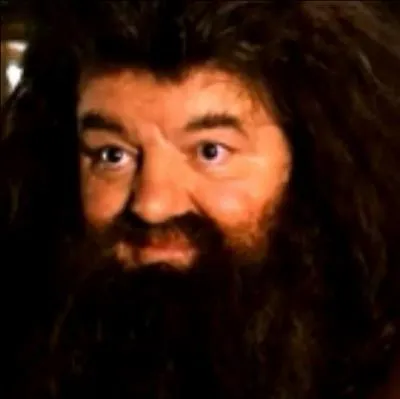Quelle est la boisson que prend Hagrid aux Trois Balais ?
