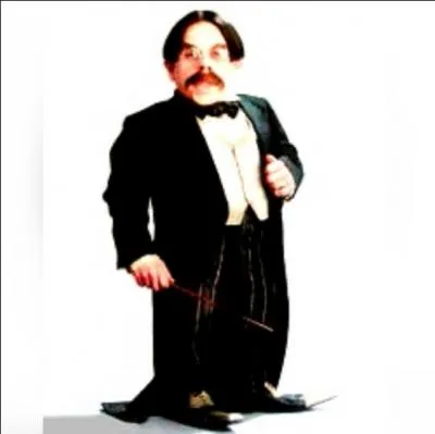 Quelle est la boisson que prend le professeur Flitwick aux Trois Balais ?