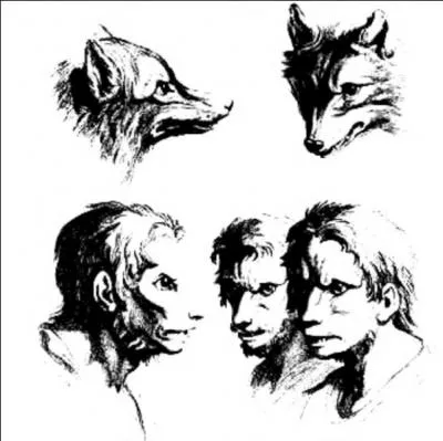 Quelle est la matière qui est à la même heure que la métamorphose ?