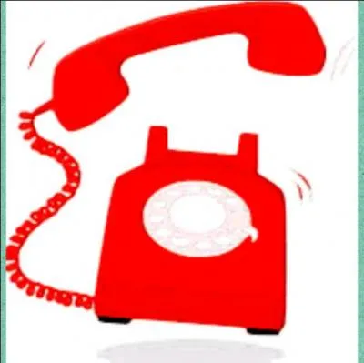 Quel est l'ami de Harry qui appelle les Dursley au téléphone mais qui ne sait pas comment ça marche donc crie ?