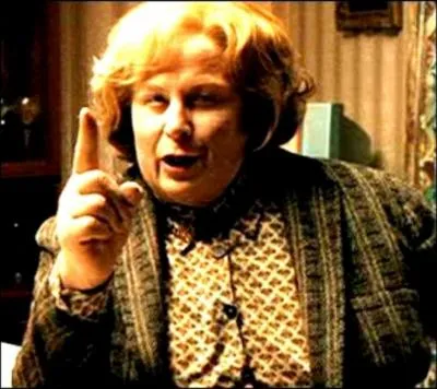 Dans quelle école Harry doit-il faire semblant de suivre sa scolarité pour la tante Marge ?