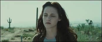 Twilight 1 : Quel objet Bella emporte-t-elle d'Arizona à Forks ?