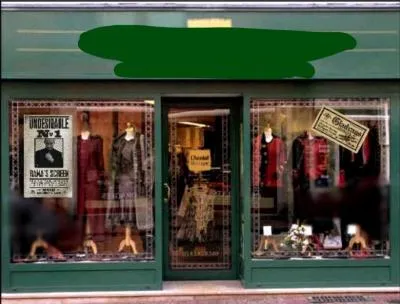 Quelle sorte de magasin est Gaichiffon ?
