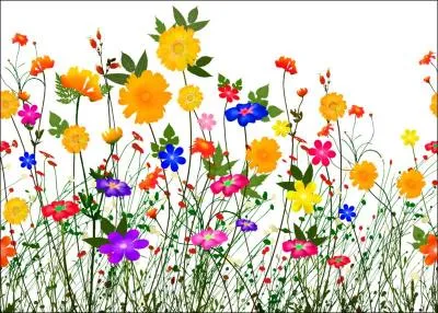 Pour réussir ses exercices, un "acrobate" ne doit pas être agile.