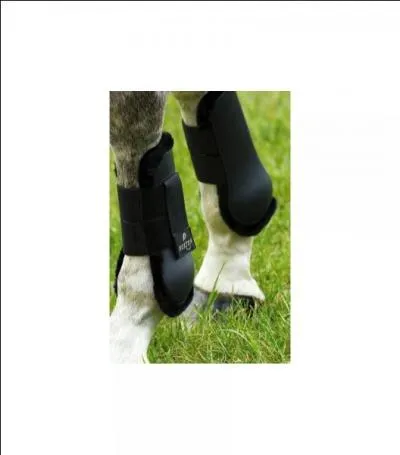 Ce sont des guêtres :