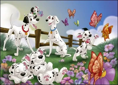 Dans "Les 101 Dalmatiens", Pongo et Perdita possèdent chacun 72 et 68 tâches.