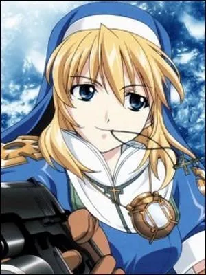 Quel genre d'armes est le plus souvent utilisé par Rosette et les autres membres de l'ordre ?