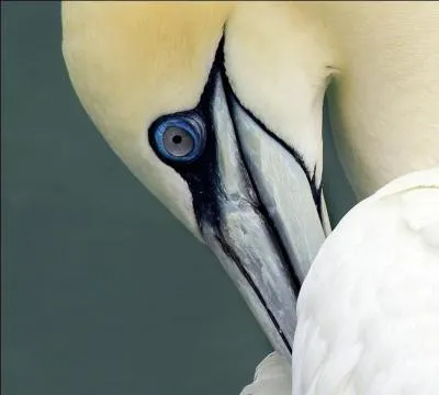 La solution va vous ouvrir les yeux !