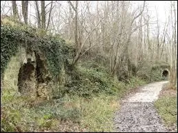 Ancienne batterie militaire construite en 1879 et située sur le Plateau de Satory, la Batterie du Ravin de Bouviers se trouve dans la forêt de la ville Yvelinoise de ...