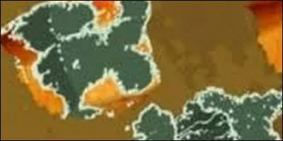 Quel pain peut éliminer le pain moisi ?