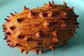 Quiz Fruits