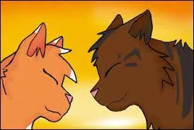 Vrai ou faux ? Son nom de chaton est Patte d'Écureuil.