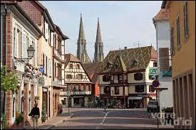 Un peu plus au Nord-Est, je me suis arrêté à Obernai, ville alsacienne. Berceau légendaire de Sainte Odile, on peut y déguster une bonne choucroute accompagnée d'un bon vin blanc. Mais quel oiseau orne son blason ?