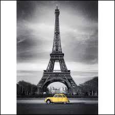 Je vais commencer au Km 0 à Paris.J'en profites pour visiter notre grande demoiselle, la "Tour Eiffel". Mais au fait, savez-vous dans quel département se situe-t-elle ?