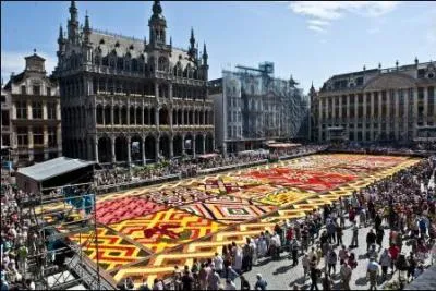 Encore des fleurs sur cette carte ! Cette fois, c'est un tapis fleurs de bégonias qui est présenté au public tous les 2 ans en été sur la Grand-Place de 