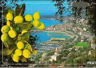 Cette carte a été rédigée et expédiée lors du festival afin de vous faire partager l'or de la ville de ------ que l'on fête dès le mois de février.