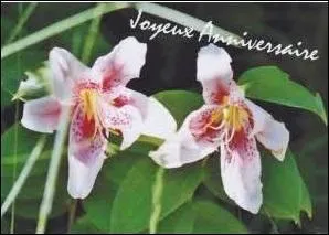 On vous adresse cette carte de bon anniversaire d'une ville, département de l'Aube, dont le blason comporte l'emblème au chef d'azur à trois fleurs-de-lys d'or.