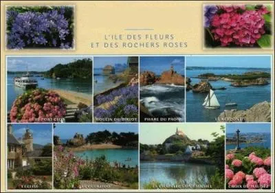 Si vous recevez cette carte postale, fleurie d'hortensias, expédiée depuis une île au nord de la pointe de l'Arcouest, c'est que la personne qui pense à vous, se trouve sur ----.