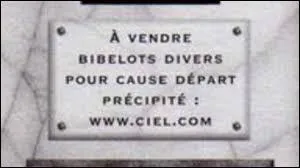 Plante vénéneuse, qui provoqua la mort de Socrate !