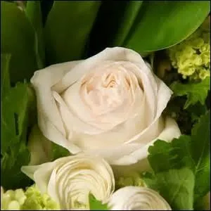 Quand il est question d'un pur bonheur.