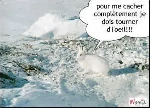 Net, propre, sain, impeccable.