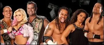 Tag Team Championship : The Usos vs The Hart Dynasty.