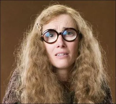 - Ah ! C'est donc pour ça que Sibylle Trelawney fait le lien entre la Maison Dieu et la tour frappée par la foudre quand elle sort un jeu de cartes et fait une démonstration à _____ ! J'avais pas fait le rapprochement !