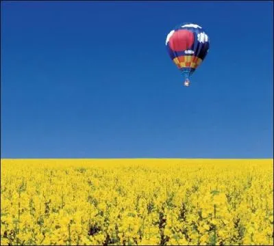 - Je le répète, vous êtes tous hypnotisés par les jeux et autres univers fantasmagoriques... En tout cas merci pour les idées, je vais étudier la question...

- A quand la date butoir ? Pour poster ton questionnaire sur les cartes ?