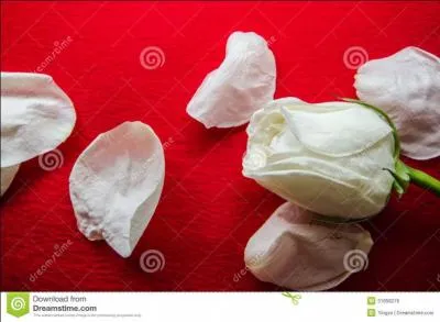 Regardez le mois de mars. Que dessine-t-il sur les branches ?