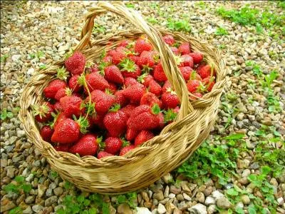 En mai, qu'est-ce qui rend tout le monde à l'aise ?