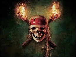 Je suis indispensable aux pirates. Qui suis-je ?