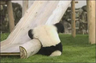 Au 'tobogan' et au ballon, il préférait sa 'nouvelle' 'trotinette'. Parmi les mots entre guillemets, combien sont fautifs à votre avis ?