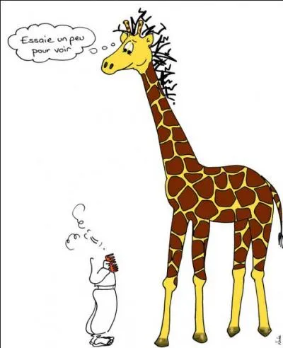 Mieux vaut jouer les quizz que peigner la 'giraffe'. Le mot entre guillemets est-il correctement orthographié ?