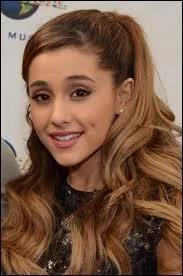 Son label est Republic Records.