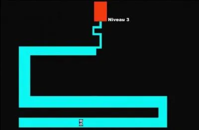 Quel est ce jeu vidéo ?