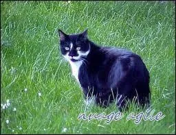 Qui était avec elle lors de ce drame ?