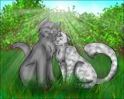 Comment s'appellent les petits de Plume Grise et Rivière d'Argent ?