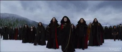 Combien sont les Volturi en tout ?
