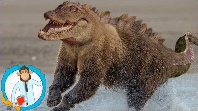 Qu'est-ce qu'un animal hybride ?