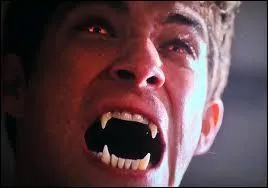 Quelle est la race de loups garous de Scott ?