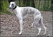 Aucun problème pour trouver la bonne réponse !