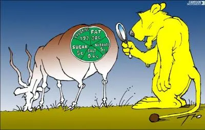 Il est sage et précautionneux.